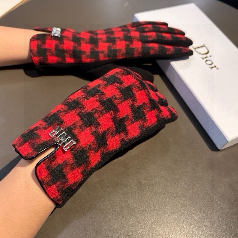 Christian Dior Gloves